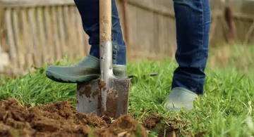 Bêchage, binage et griffage