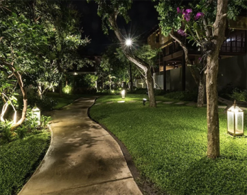 Eclairages paysagés