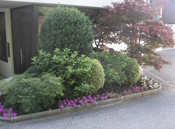 Entretien des massifs