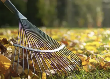 Ramassage des feuilles
